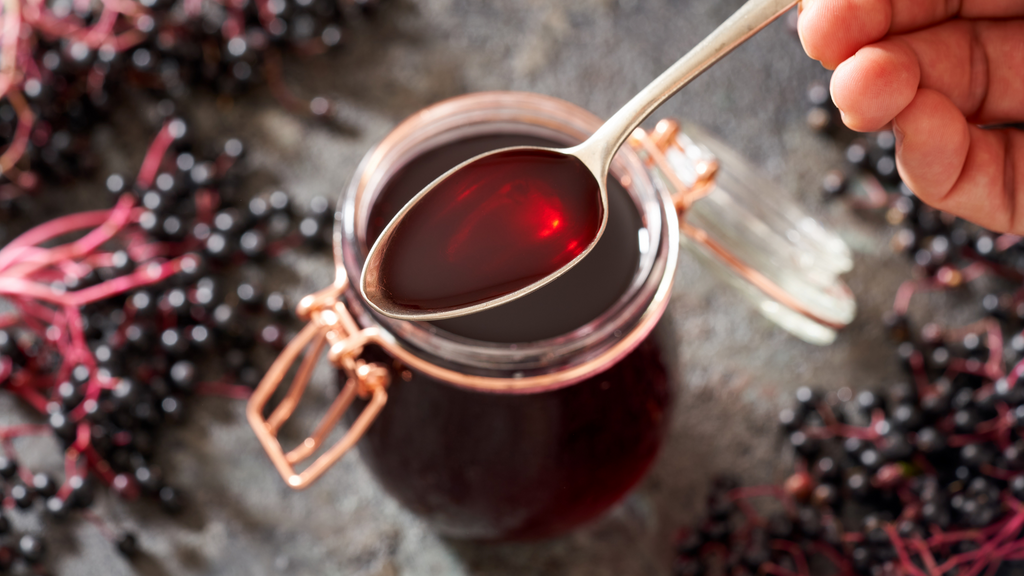 Elderberry 101: How to Grow and Make Your Own Syrup