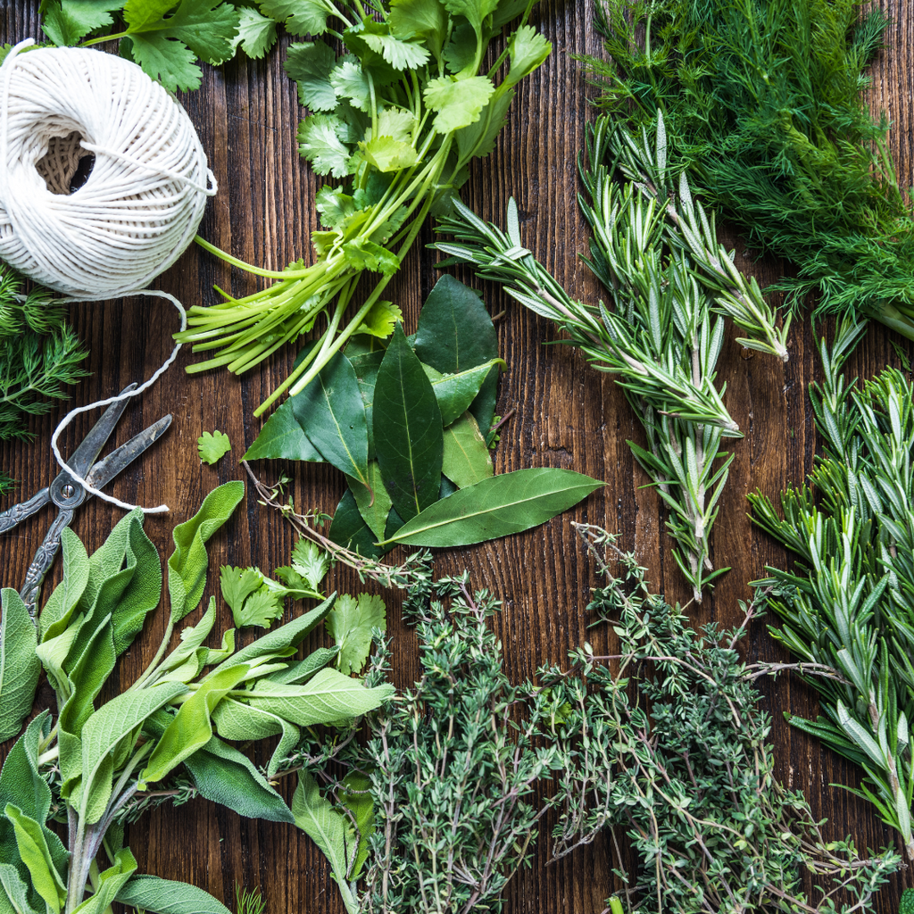 10 Must-Have Herbs for Your Culinary Garden