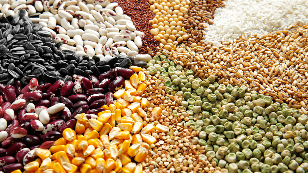 Terra Mix