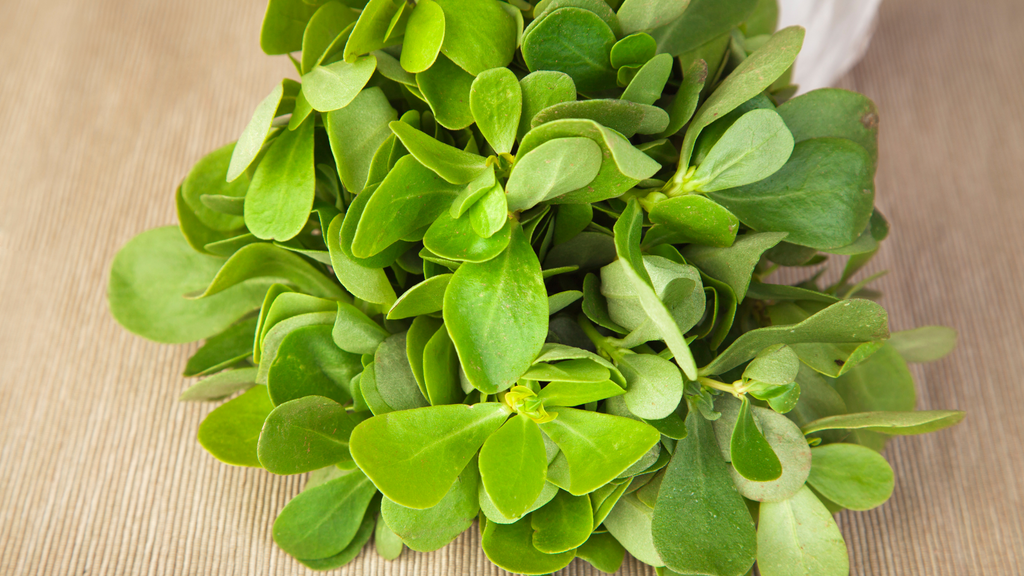 Purslane