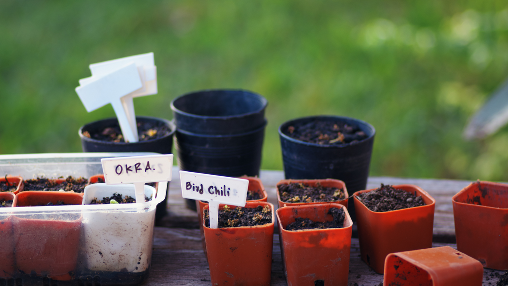 POTS AND PLANTERS