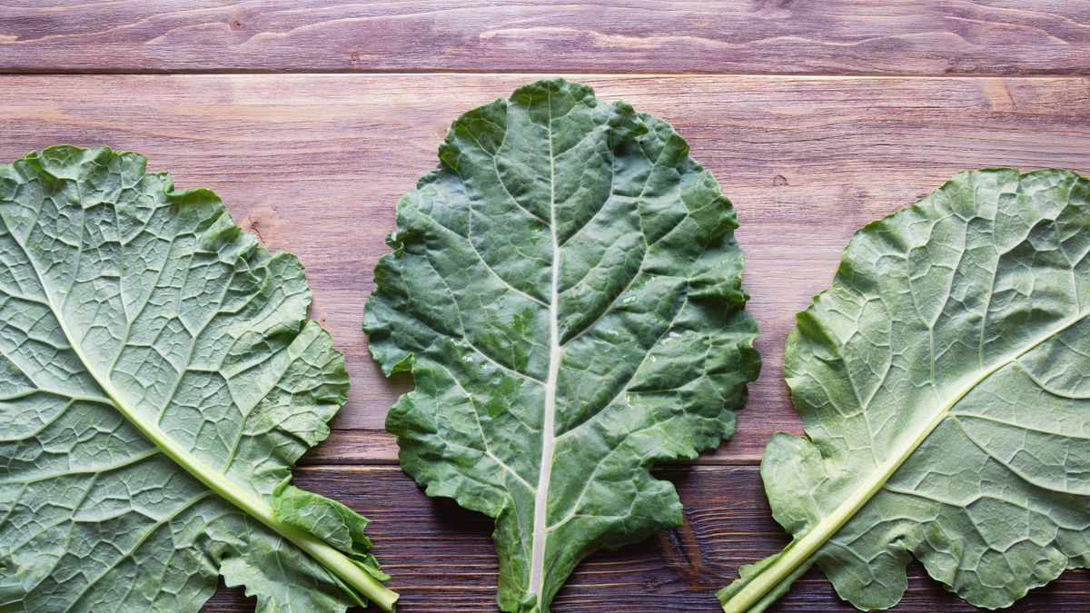 Collard – Terra Mater Gardens
