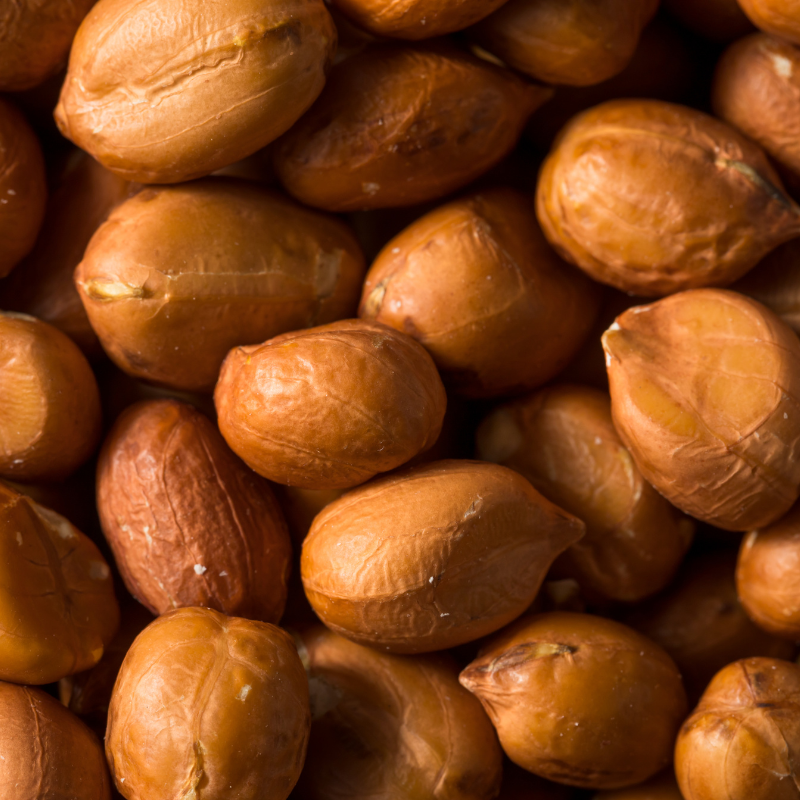 spanish peanut seeds for planting Organic Spanish Peanut Seeds (Arachis hypogaea) – 10+ Seeds for Small, Sweet Peanuts, Great for Roasting and Snacking