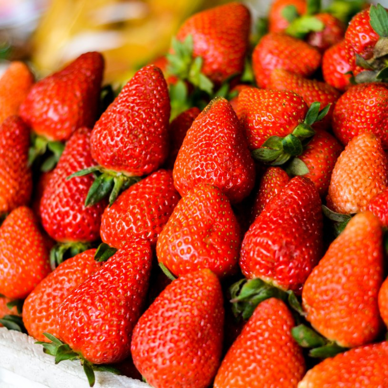 large strawberry seeds Formosa Italian Strawberry Seeds (Fragaria × ananassa) – Large, Sweet – Terra Mater Gardens