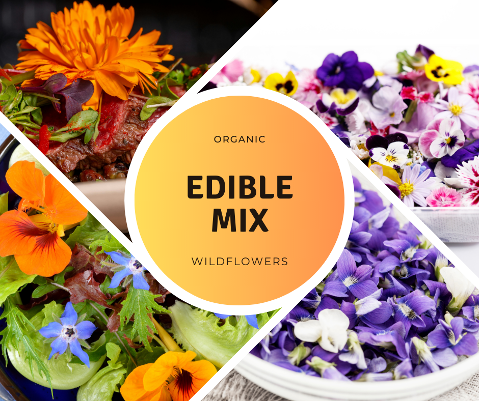 edible wildflower seeds Edible Wildflower Mix Organic Seeds – A delightful mix of vibrant flow – Terra Mater Gardens