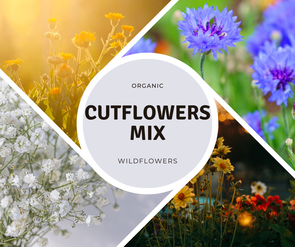 organic cut flower seeds Cutflower Wildflower Mix Organic Seeds – A carefully selected mix of l –  Terra Mater Gardens