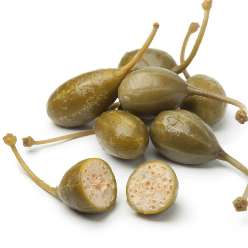 caper plant seeds Caper Seeds Organic (Capparis spinosa) – Grow your own gourmet capers! – Terra Mater Gardens