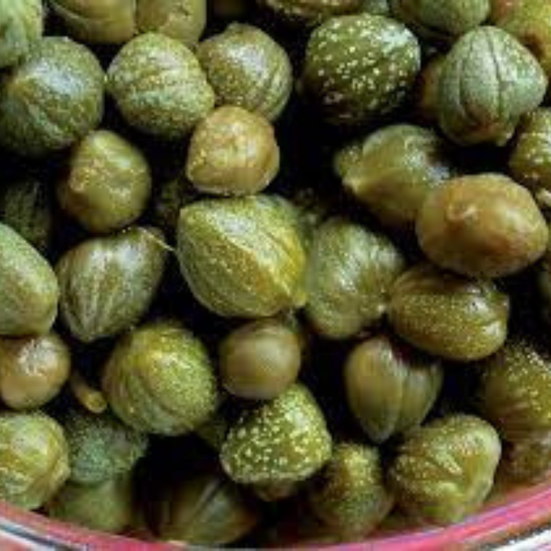 caper plant seeds Caper Seeds Organic (Capparis spinosa) – Grow your own gourmet capers! – Terra Mater Gardens
