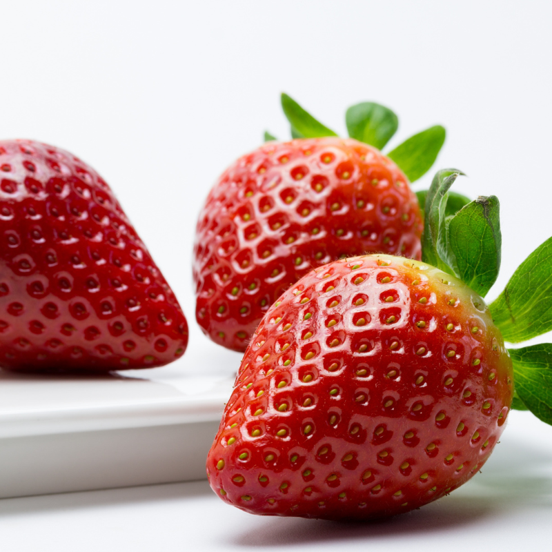 organic strawberry seeds for sale Heritage Strawberry Organic Seeds (Fragaria vesca) – Alpine strawberry –  Terra Mater Gardens