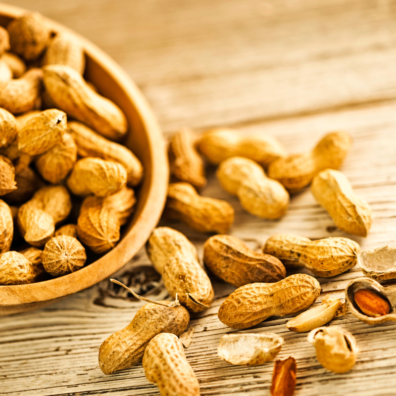 jumbo peanut seeds for planting Virginia Jumbo Peanuts – 10 Seeds