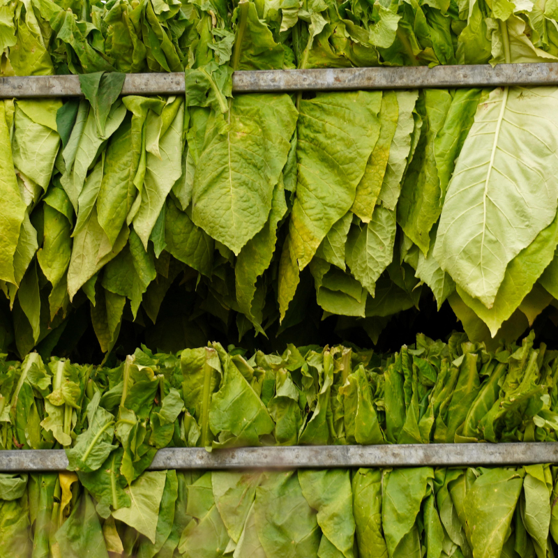 wild bill's tobacco defiance ohio Wild Bill's Tobacco Expands in Missouri with New Kansas City Location