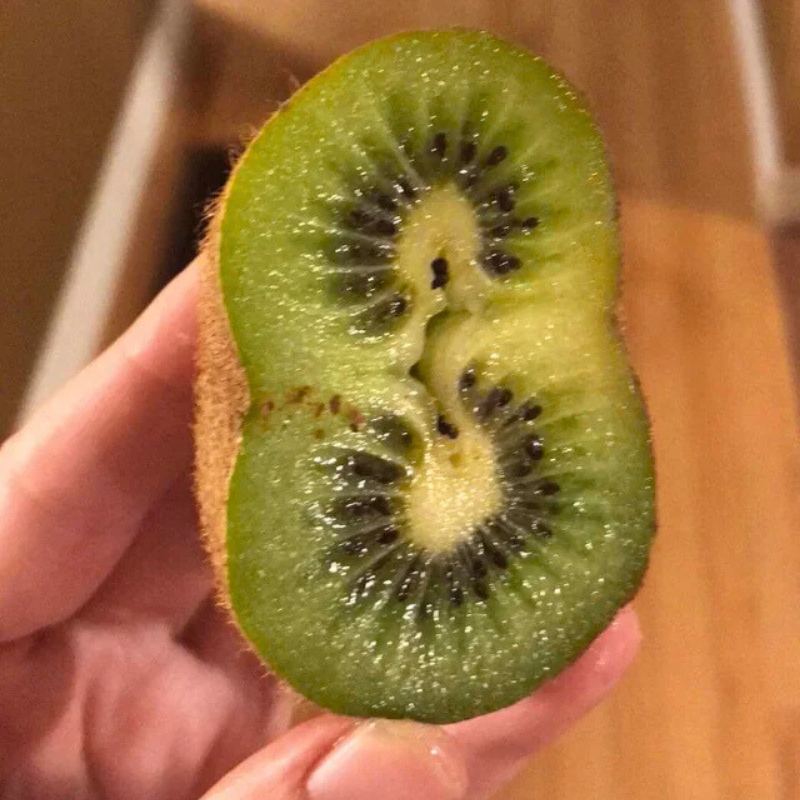 Double Kiwi Seeds (Actinidia deliciosa) – High-Yielding Heirloom Double Kiwi Seeds (Actinidia deliciosa) – High-Yielding Heirloom