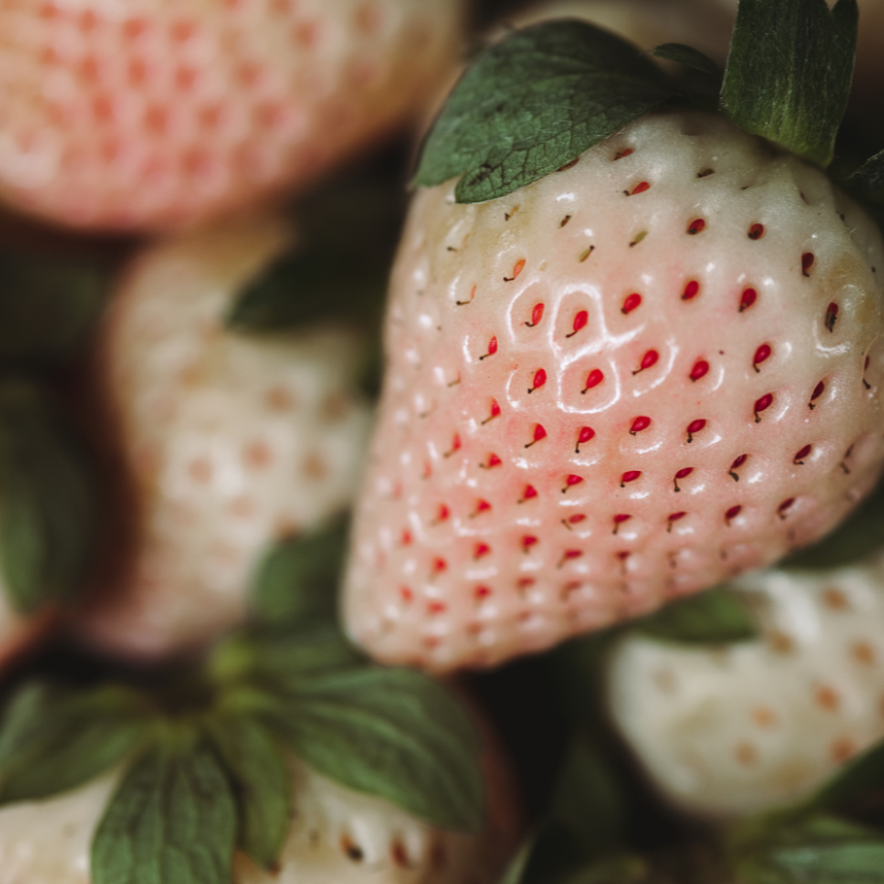 white strawberry with red seeds pineapple aroma codycross Pineberry White Strawberry Seeds – Heirloom, Open-Pollinated