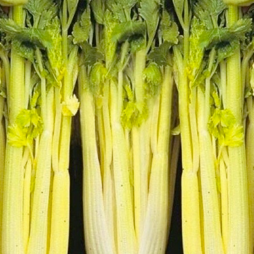 Organic Golden Pascal Celery Seeds (Apium graveolens) – Tall Stalks, C ...