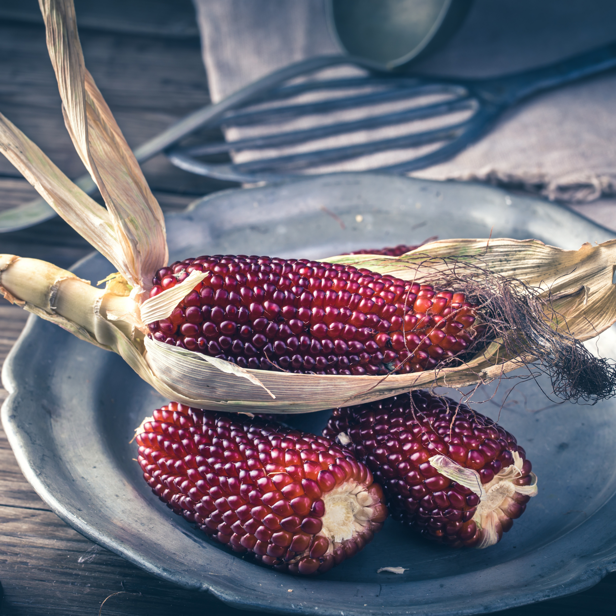 Heirloom Red Strawberry Popcorn Seeds (Zea mays var. everta) – Unique, –  Terra Mater Gardens